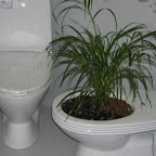 unusual_and_funny_toilets_55
