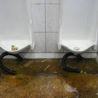 unusual_and_funny_toilets_67