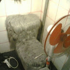 unusual_and_funny_toilets_68