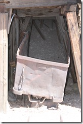 IMG_5915 IMG_5915