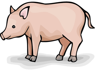 pig pig