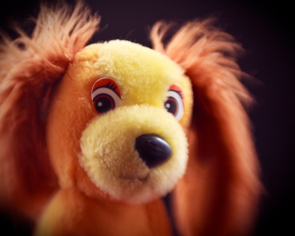 [lensbaby_20100206 (16 of 102)[13].jpg]