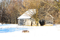 Wood Sheltered by Wood