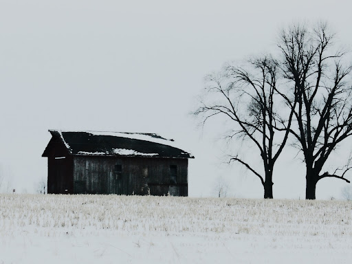 field