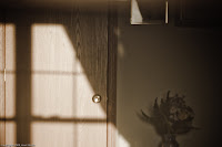 In a Mirror, Darkly