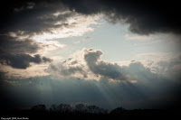 Sun Shower: Captured this photo on my way home; isn't it absolutely beautiful? I love the way the sun is casting the light rays and shadows - and the birds in the pic were an unexpected bonus! (1/500 sec @ f/8; 50mm)
