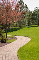 A Nice Walk: (1/1000 sec @ f/2.5; 50mm)