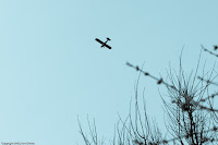 Flying High: This cute plane decided it would fly overhead as I was busy taking pictures of other things nearby. It did not escape my lens, however, and I got several great shots of it. (1/1600 sec@f/5.6; 50mm)