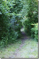 IMG_4768WV