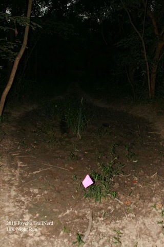 [IMG_0093_s_jpg3.jpg]