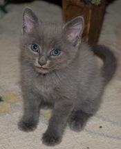 [gray-friendly[9].jpg]