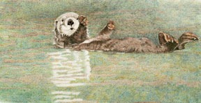 [sea-otter[4].jpg]