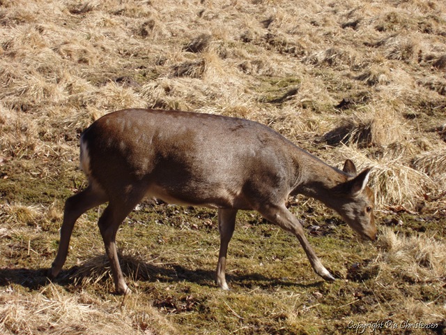 [P32048702.jpg]
