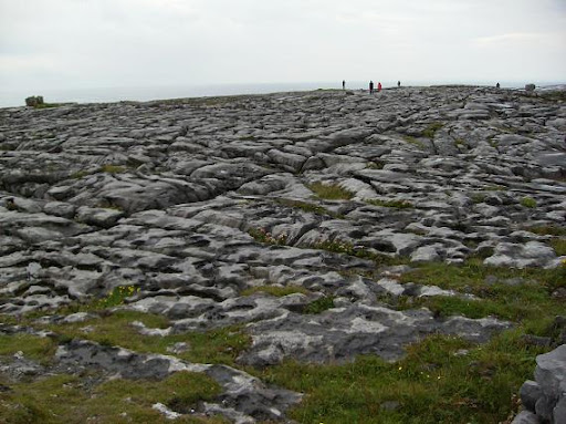 Paisaje krstico superficial (The Burrens, Irlanda)