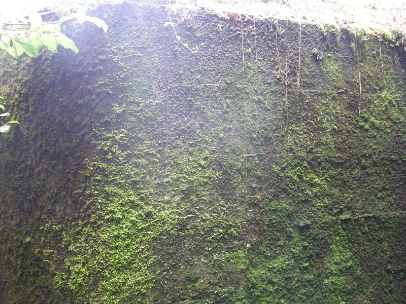 P8110047.JPG