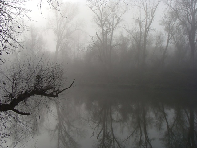 [mist[2].jpg]
