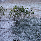 DSC04888.JPG