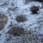 DSC04893.JPG