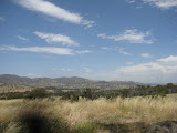 On the drive to Namadji Park