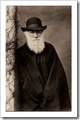 darwin