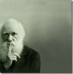 darwin