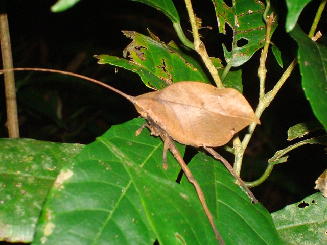 [DSC097595.jpg]