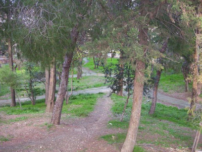 Image of Foggia - Villa Comunale