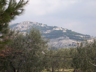 Image of Paesaggio garganico presso Monte S. Angelo