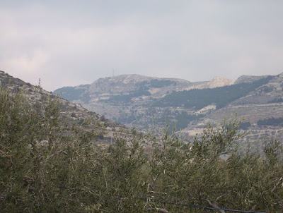 Image of Paesaggio garganico presso Monte S. Angelo