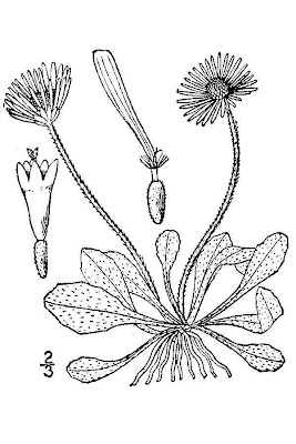 Tausendsch�n