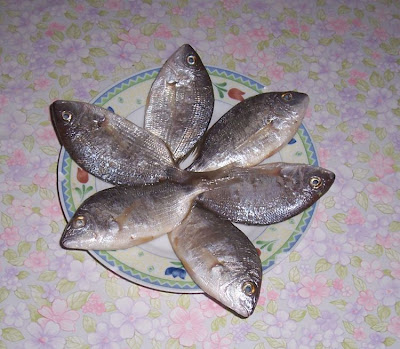 Image of Sparaglione