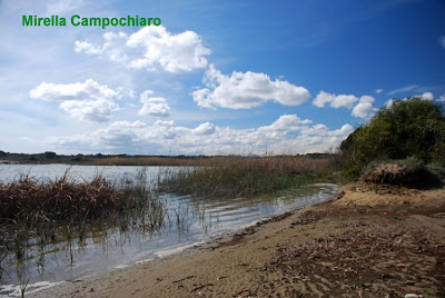 Image of Fiume Cavone