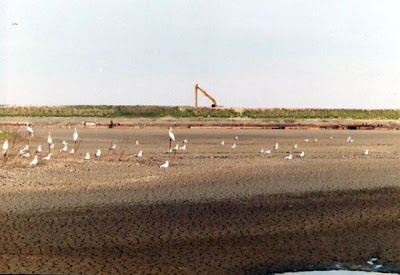 Habitat Restoration