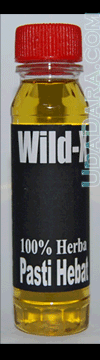 wild-x2