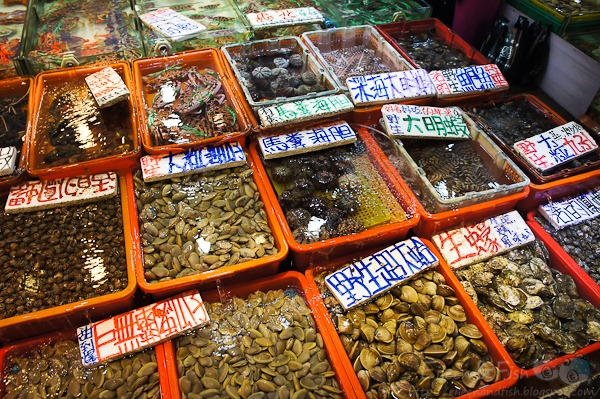 [201103062-1-11[3].jpg]