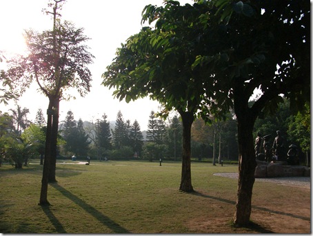 DSCF0110