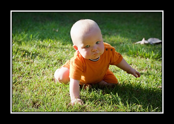 [IMG_5993[2].jpg]