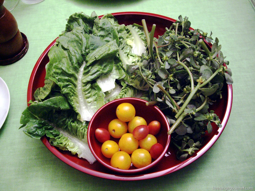 [Purslane-in-salad10.jpg]