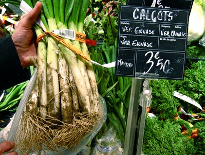 calçots 002