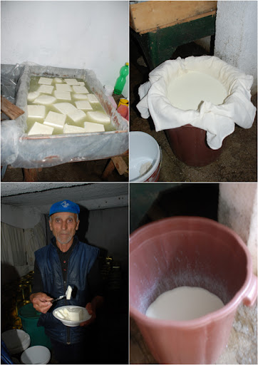 sirene cheese