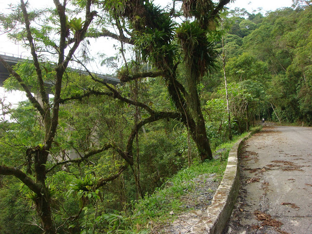 Ciclista Fabiano.