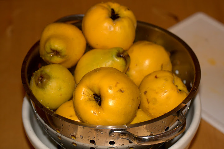 Quinces