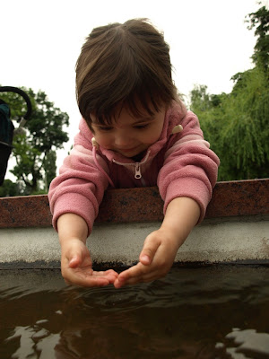 P6134695.jpg