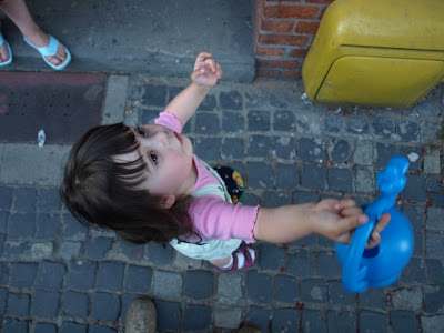 P6285532.jpg
