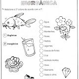 ACTIVIDADES DE CIENCIAS-7.jpg