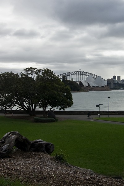 DSC_5421-1