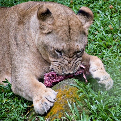 [DSC_3425 copy[3].jpg]