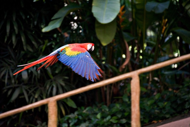 [DSC_3695 copy[4].jpg]