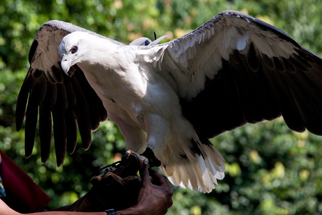 [DSC_3620 copy[4].jpg]