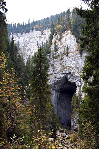 Cetatile Ponoroului